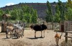 Los animales de Sendaviva están ya de regreso en el parque con normalidad