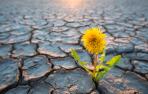 cambio climatico