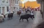 Vídeo de la primera cornada en el encierro de Lodosa del lunes