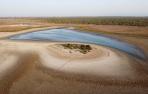 doñana
