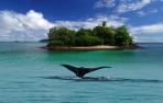 isla coiba