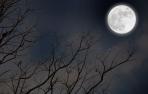 Luna llena