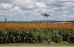 dron-agricultura