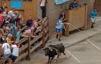 Fotos del toro ensogado de Lodosa