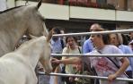 Una imagen de la Feria del Caballo de Marcilla de 2019