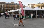 Feria