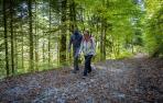 Fotos de los turistas en la selva de Irati en otoño 2022.