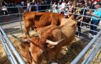 Imágenes de la Feria de Alsasua