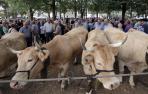 Feria de elizondo