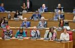 pleno debate estado