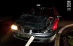 Accidente de tráfico provocado por un ciervo en las carreteras navarras