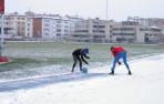 nieve