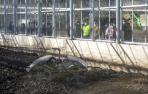 El robot que airea los lodos en plena tarea en el invernadero de la estación depuradora de Arazuri