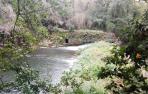 presa 1