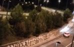 La policía persigue a varias ovejas en la entrada a la autovía en Noáin