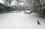 Vídeo de la copiosa nevada que ha cubierto Tierra Estella en apenas media hora