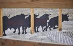 toros-pintados