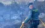 Incendio en Amillano
