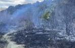 Vídeo con la zona afectada por el incendio en Amillano