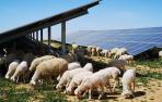 Iberdrola