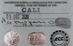 carné de conducir falso