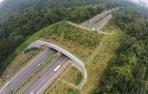 ecoducto