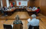Pleno de Estella