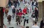 fiestas juventud estella 2023