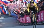 Roglic