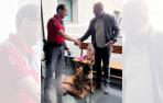 Momento de la entrega del perro a su dueño