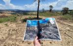 Helena abrazó este árbol unos días después de que este paraje quedase calcinado por completo frente al Señorío de Sarría