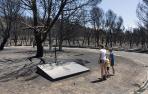 Vecinos de Valtierra, visitando el 19 de junio del año pasado las zonas quemadas en el cementerio de la localidad