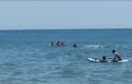 Una orca sorprende a los bañistas de una playa de Huelva