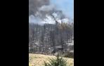 Vídeo: El pinar a las fueras de Olloki, calcinado por el fuego