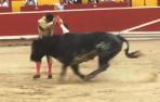 Vídeo con las banderillas de Colombo al último toro de la Feria