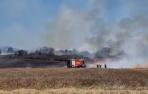 incendio campo cereal