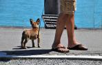 Las chanclas han saltado de la playa al asfalto