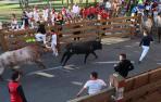 Segundo encierro de las fiestas de Tudela 2023