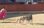 Susto en la novilla sin picadores de las fiestas de Estella: Voltereta al novillero pamplonés Pablo Hernández