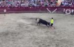 Una vaca coge y persigue al recortador tudelano Pablo Saso en Arguedas