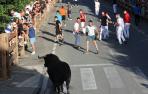 Segundo encierro de Tafalla