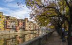Paseo con árboles en Girona