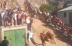 Séptimo encierro del Pilón de Falces