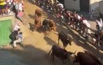 Octavo encierro del Pilón