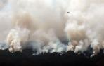 Incendio en Tenerife