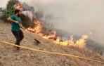 incendio valdizarbe