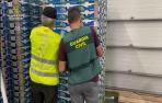 Imagen de las cajas de fruta donde escondían la cocaína