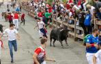 Fotos del sexto y último encierro de las fiestas de Sangüesa.