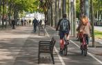 BICIS