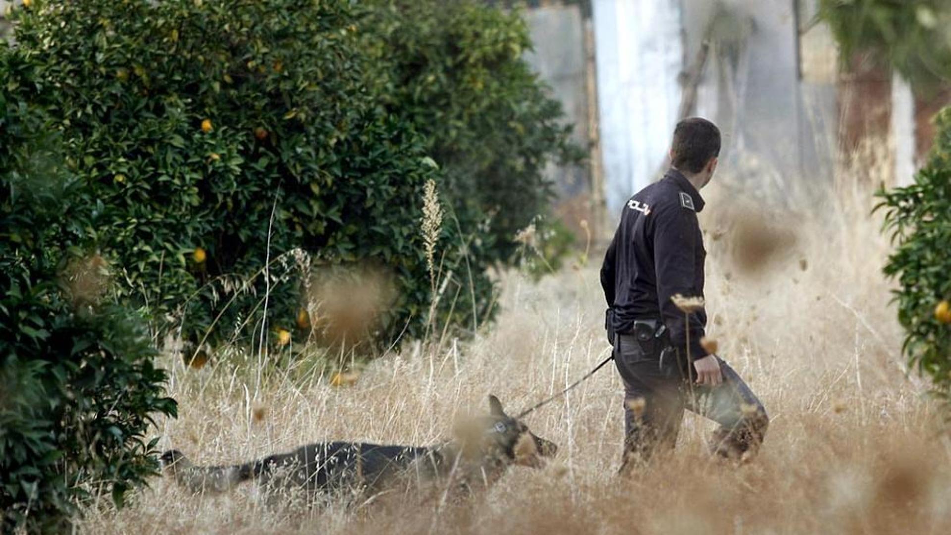 Tras su desaparición el pasado 8 de octubre, los hermanos Ruth y José, de seis y dos años respectivamente, continúan en paradero desconocido. La Policía Nacional los busca desde ese día, y el pasado lunes reinició un rastreo a fondo en la finca de los abuelos paternos de los niños en Córdoba.